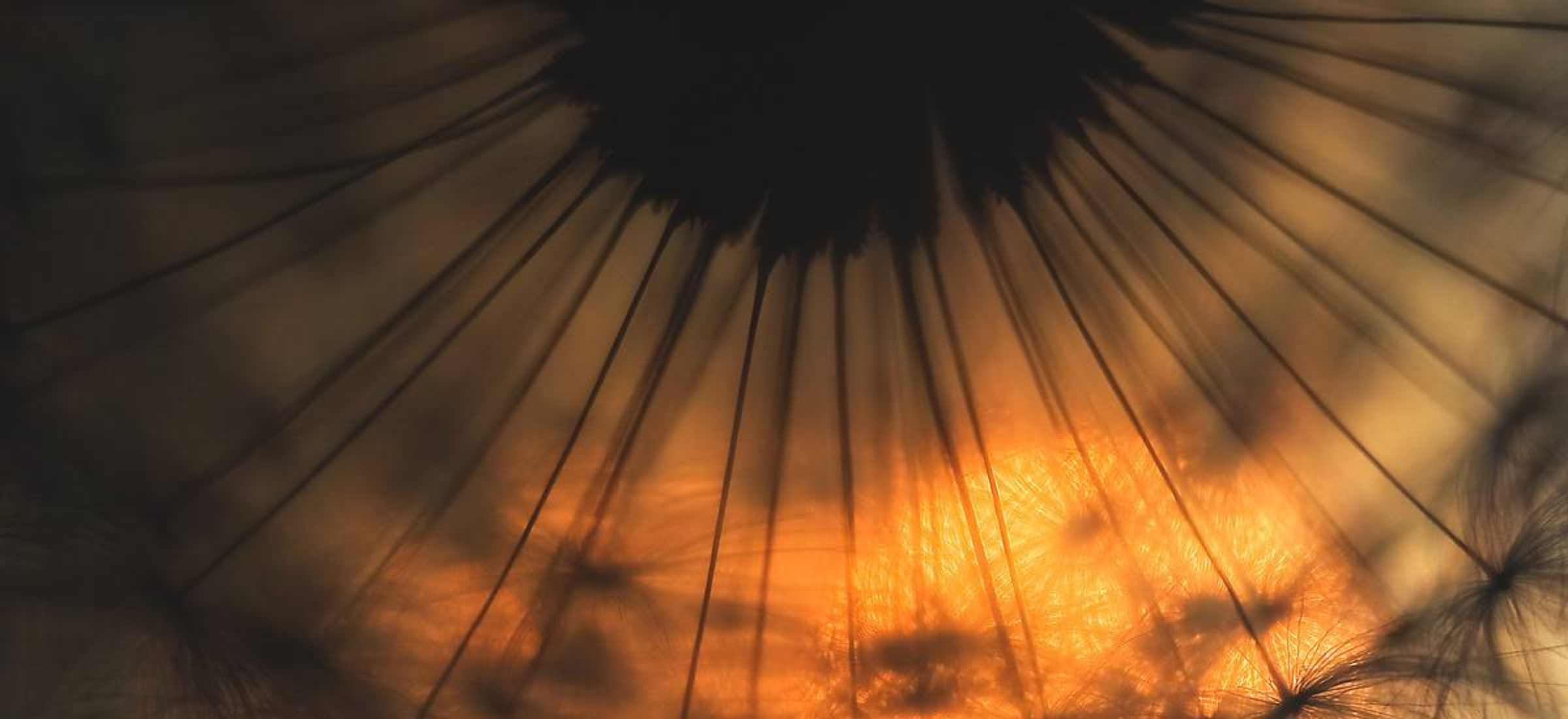 21 juin 2025 – Solstice d’Été & Sabbat de Litha…