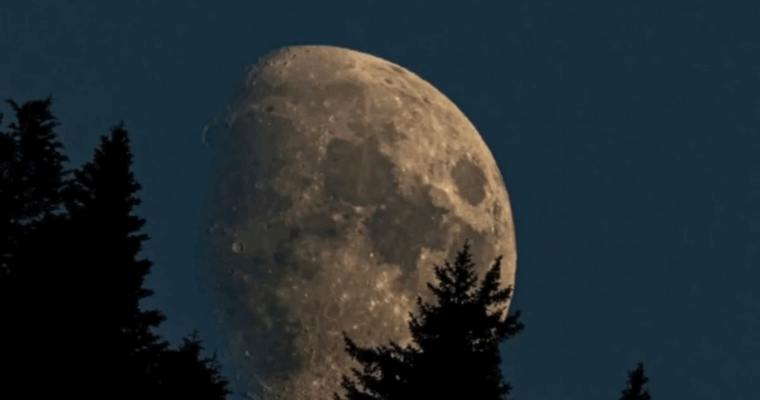 Nouvelle Lune en Vierge du 21 septembre 2025. Nettoyer, clarifier, créer depuis le cœur…